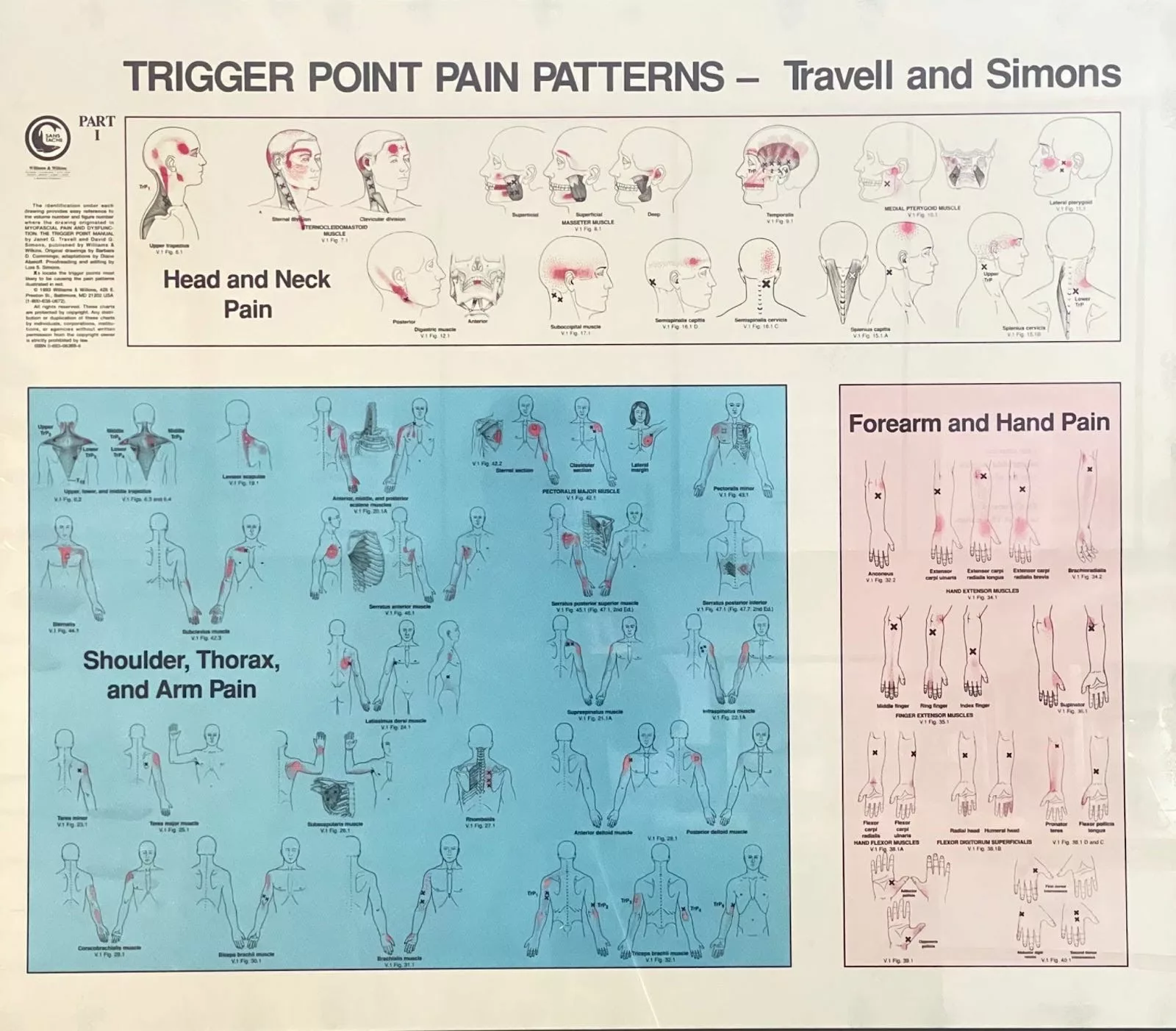 Back & Neck Pain 3