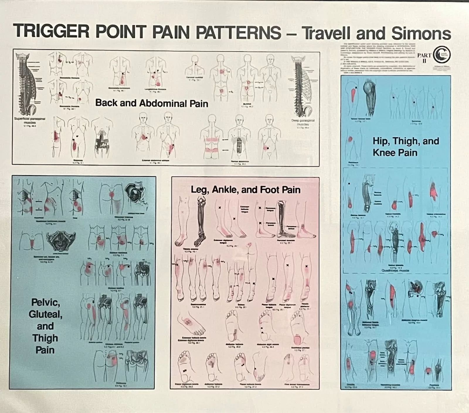 Back & Neck Pain 4